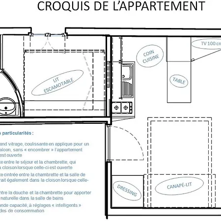 Le Coin Des Cygnes, Face Au D'annecy Avec Privee Apartment Doussard