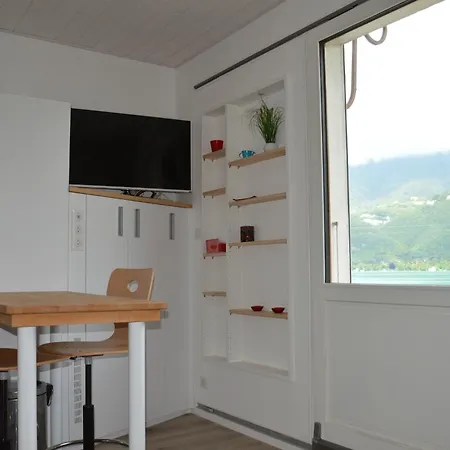 Le Coin Des Cygnes, Face Au D'annecy Avec Privee Apartment