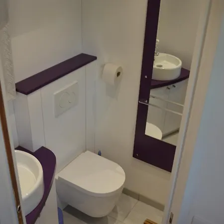 Le Coin Des Cygnes, Face Au D'annecy Avec Privee Apartment